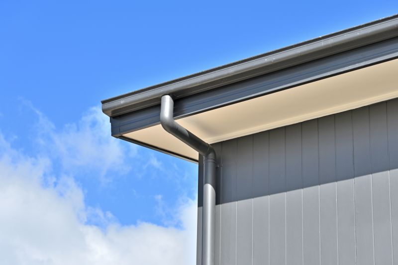 Commercial Gutter Protection